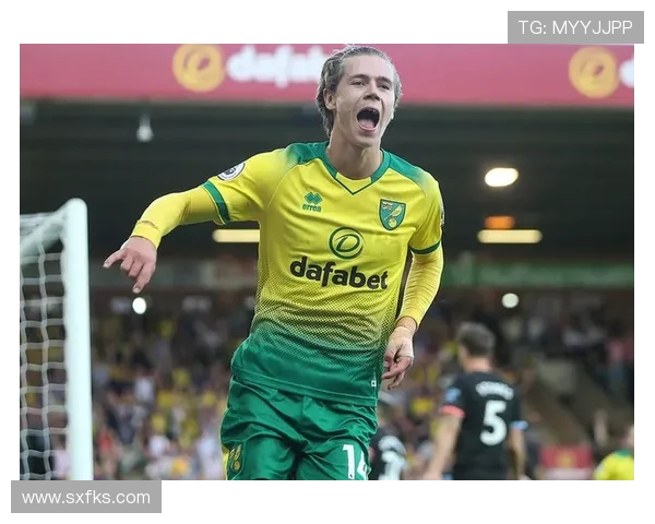 黑马突围与豪强沉浮：NBA西部排名周度深度观察报告